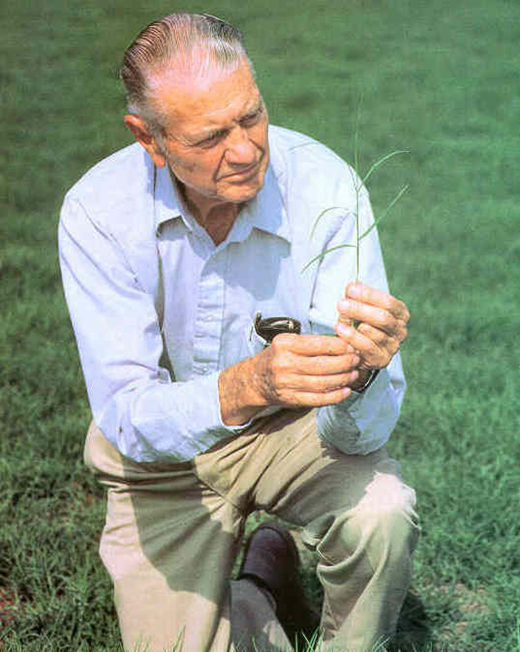 Dr. Glenn W. Burton, criador do Tifton 85