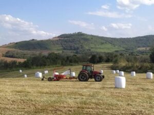 Pré-secado: Técnica Moderna de Conservação para Alimentação Animal