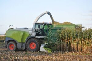 Ensilagem: Conservando Forragens para Alimentação Animal