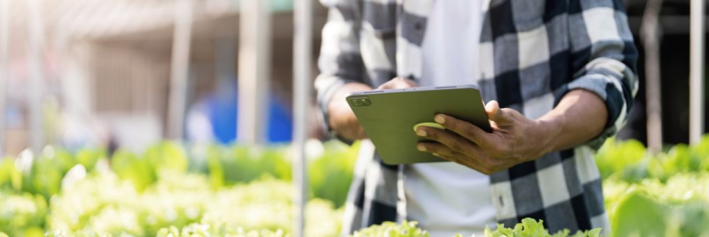 Gestão de uma propriedade rural orientada por dados e planejamento